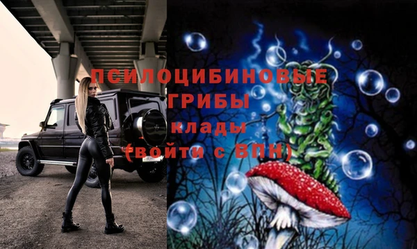 ALPHA PVP Алексеевка