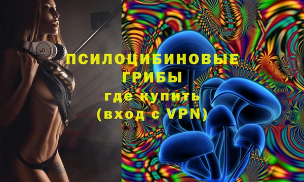 spice Покачи