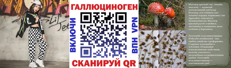 цена наркотик  KRAKEN вход  Псилоцибиновые грибы GOLDEN TEACHER  Дрезна 